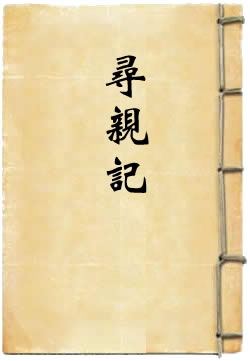 寻亲记