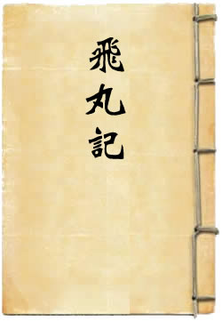 飞丸记