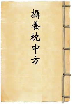 摄养枕中方