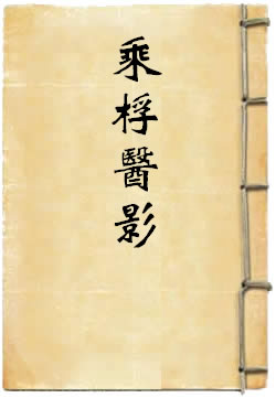 乘桴医影