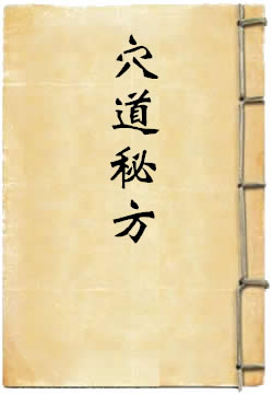 穴道秘书