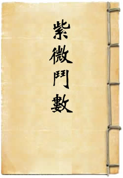 紫微斗数