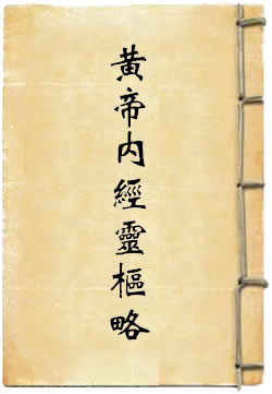 黄帝内经灵枢略