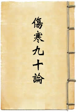 伤寒九十论
