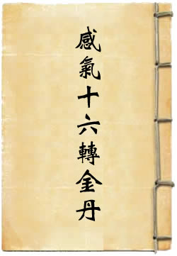感气十六转金丹