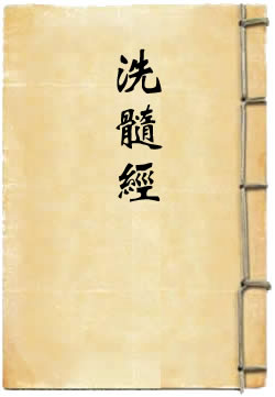 洗髓经