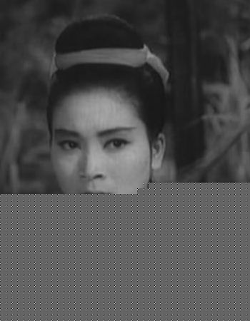 劫火红莲