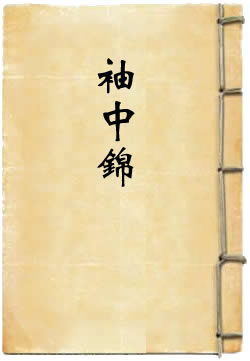 袖中锦