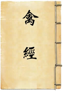 禽经