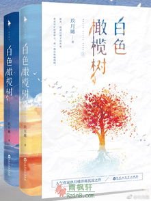 白色橄榄树
