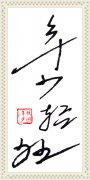 年少轻狂