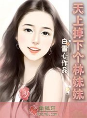 天上掉下个林妹妹