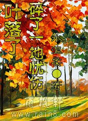 叶落，碎了一地忧伤