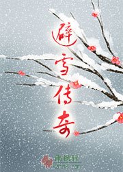避雪传奇