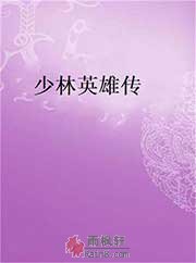 少林英雄传