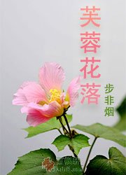 芙蓉花落（舞阳系列）