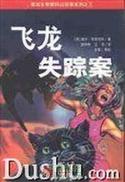 飞龙失踪案