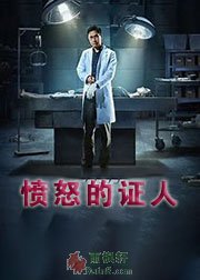 愤怒的证人