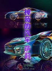 神奇的汽车——萨莉