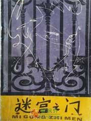 迷宫之门