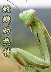 螳螂的热情