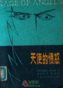 天使的愤怒