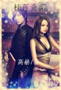 棟莲奇案