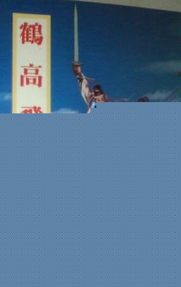 鹤高飞