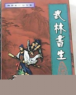 武林书生