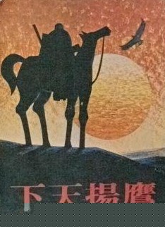 鹰扬天下