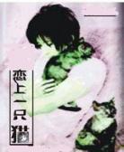 恋上一只猫