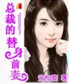 总裁的替身前妻
