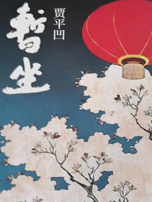 暂坐