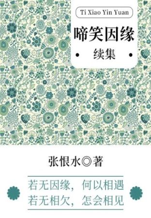 啼笑因缘续集