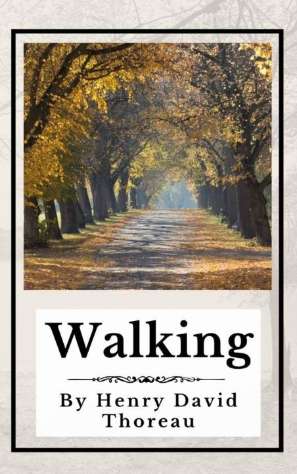 Walking