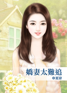 娇妻太难追