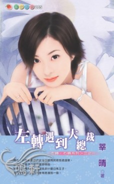 左转遇到大总裁