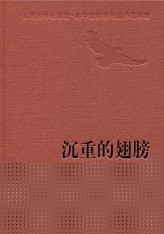 沉重的翅膀