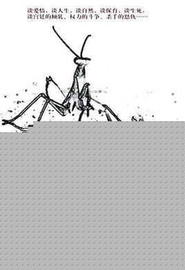 杀手正传