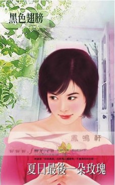 夏日最后一朵玫瑰