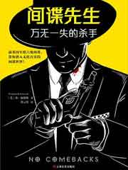 间谍先生：万无一失的杀手