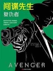 间谍先生:复仇者