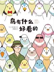 鸟有什么好看的