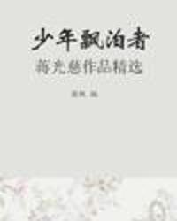 少年飘泊者
