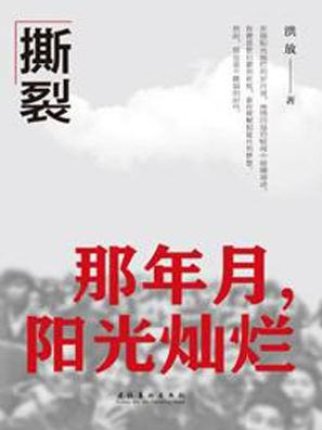 撕裂:那年月阳光灿烂