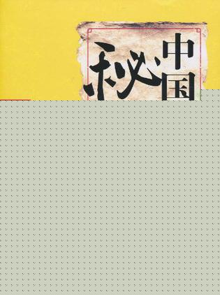 中国式秘书3