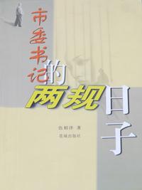 市委书记的两规日子