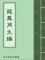 龙凤再生缘