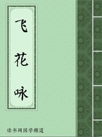 飞花咏