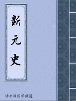 新元史